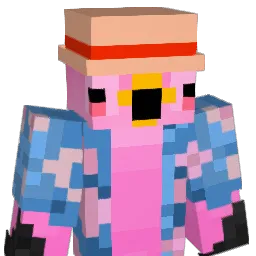 Nwsn Minecraft avatar bust