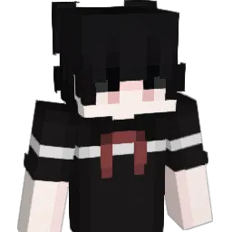Nwwwwdes Minecraft avatar bust