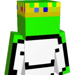 Nxnjas_ Minecraft avatar bust