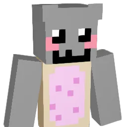 NyanCat738's Minecraft skin