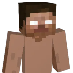 Nyelesfing Minecraft avatar bust