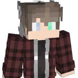 Nyko5 Minecraft avatar bust