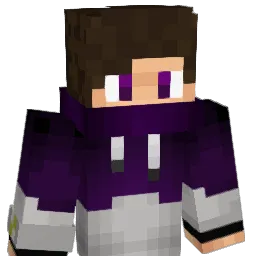 Nyru_ Minecraft avatar bust