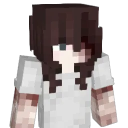 NyyX6 Minecraft avatar bust