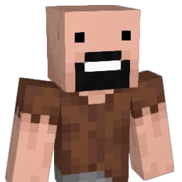 Nzollner Minecraft avatar bust