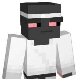 OBOA Minecraft avatar bust