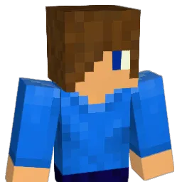 OED72 Minecraft avatar bust