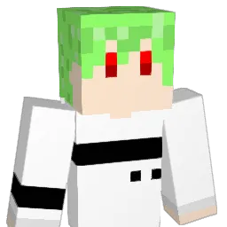 OKOMERICE00 Minecraft avatar bust