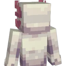 OLMfin