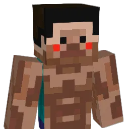 OMANJU1 Minecraft avatar bust