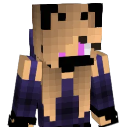 OMG8989PLAYS Minecraft avatar bust