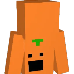 ORANGE2113