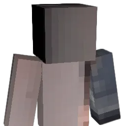 OWHNA Minecraft avatar bust