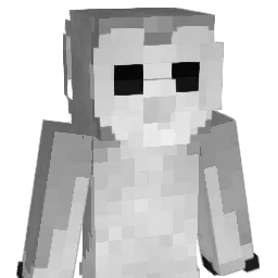 OWNER111 Minecraft avatar bust