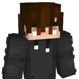 OXXYCODON_ Minecraft avatar bust