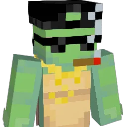 OgPimpTurtle's Minecraft skin