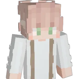Old_Took Minecraft avatar bust