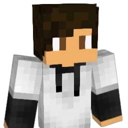 Oleus979 Minecraft avatar bust
