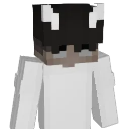 Oliwier228 Minecraft avatar bust