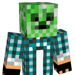 Oller_ Minecraft avatar bust