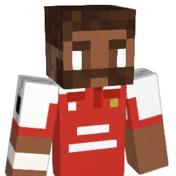 Omnicopter1 Minecraft avatar bust
