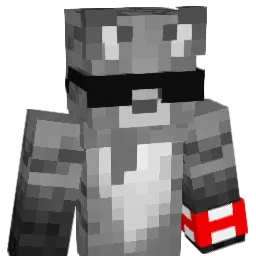 OneGrayCat Minecraft avatar bust