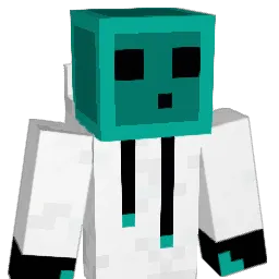 OnetimeClaw9153 Minecraft avatar bust