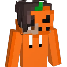 OoLs Minecraft avatar bust