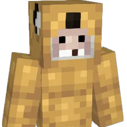 Opinsoppy Minecraft avatar bust