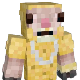 Orange845 Minecraft avatar bust