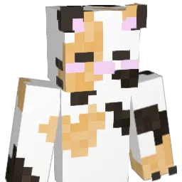 OrangeKitty4802 Minecraft avatar bust