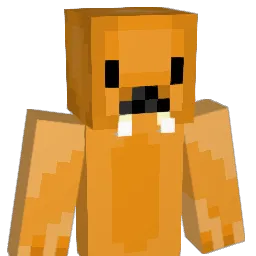 OrangeSeal2020 Minecraft avatar bust