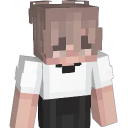 OverWorld2025 Minecraft avatar bust