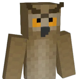 Owlss Minecraft avatar bust
