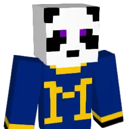 P0WERPANDA Minecraft avatar bust