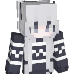 P0X1A0 Minecraft avatar bust