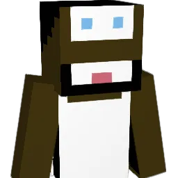 P0hhh's Minecraft skin