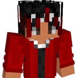 P17_PL Minecraft avatar bust