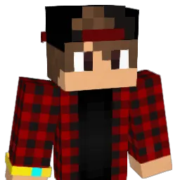 P1NKISH_ Minecraft avatar bust