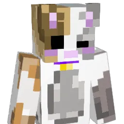 P1X1_