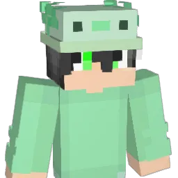 P1nhoFX_ Minecraft avatar bust