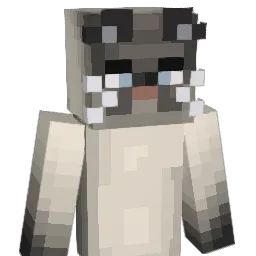 P4RYZ Minecraft avatar bust