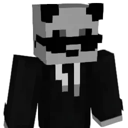 P4andaX4