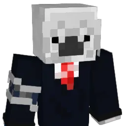 P4kaaa's Minecraft skin