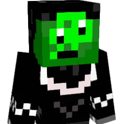 P4trycz3Q Minecraft avatar bust