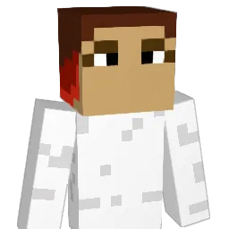 P8DD Minecraft avatar bust