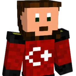 PAHSA Minecraft avatar bust