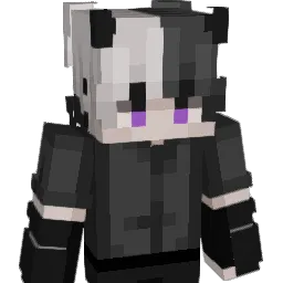 PAJA2711 Minecraft avatar bust