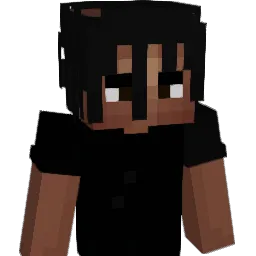 PALMMEE_CT