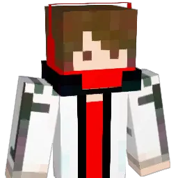 PALNAPS Minecraft avatar bust